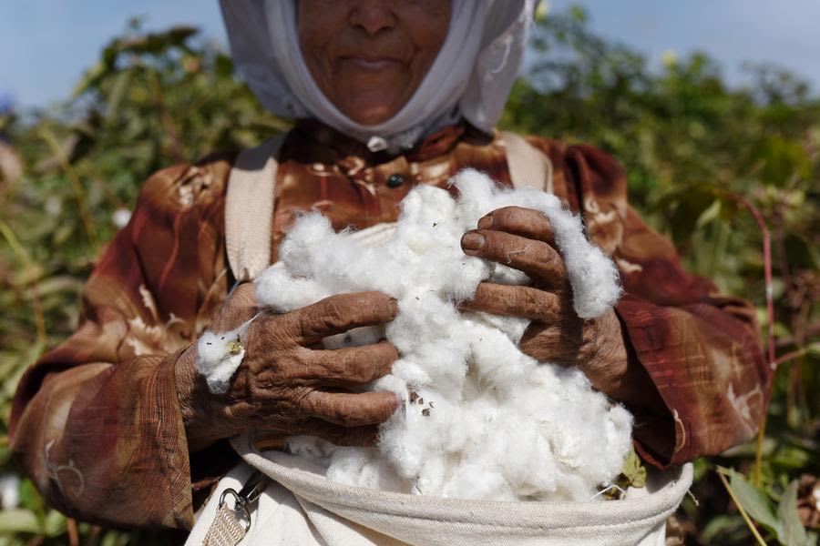 Better Cotton Initiative